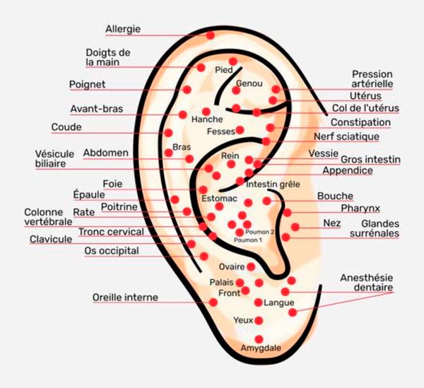 oreille